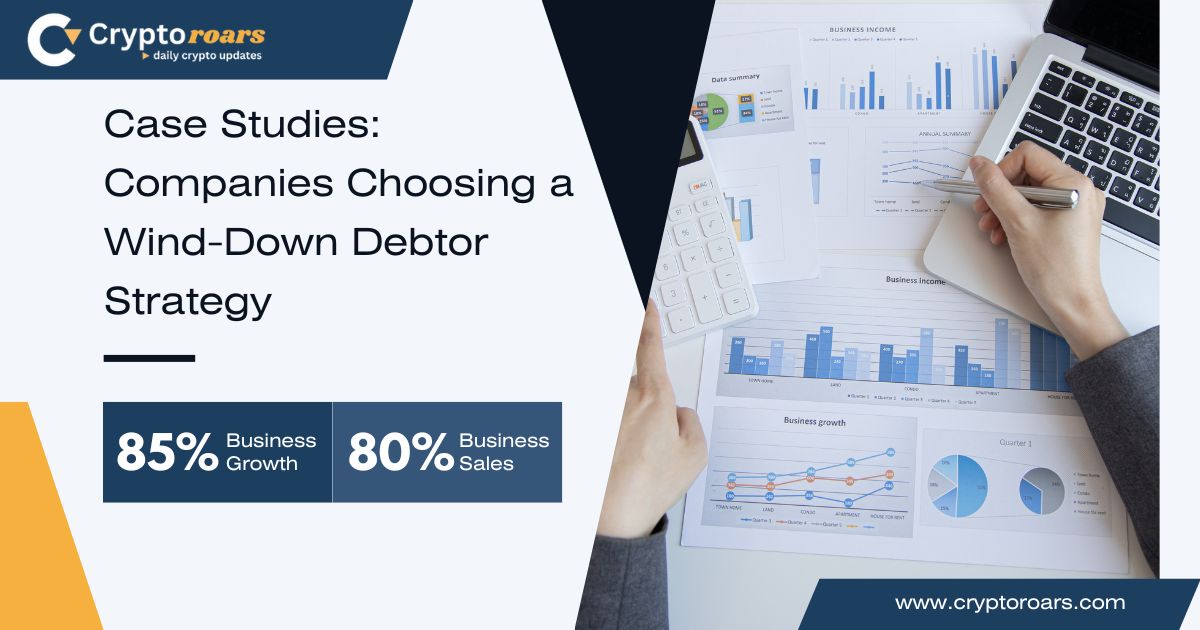 wind-down debtor