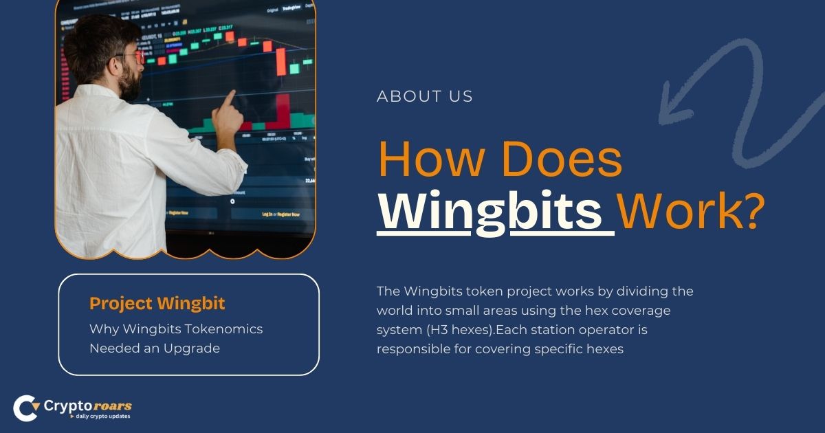 Wingbits token