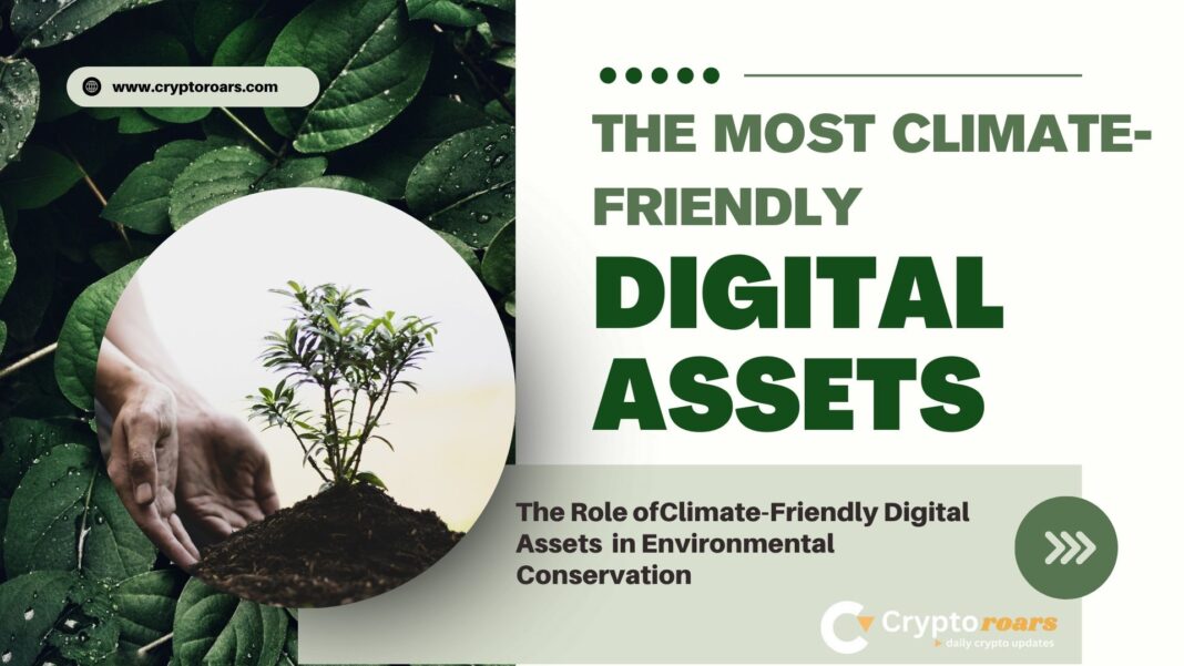 Climate-Friendly Digital Assets